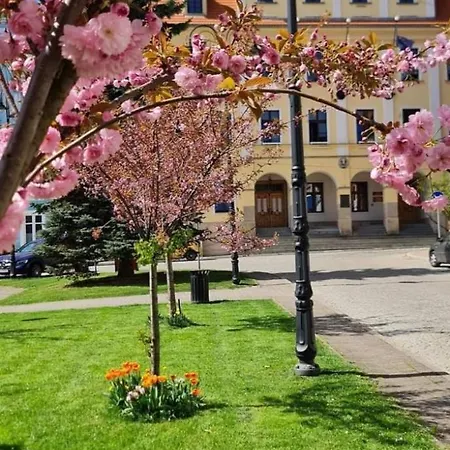Apartament Z Kominkiem Retroglam Mieroszow Exterior foto
