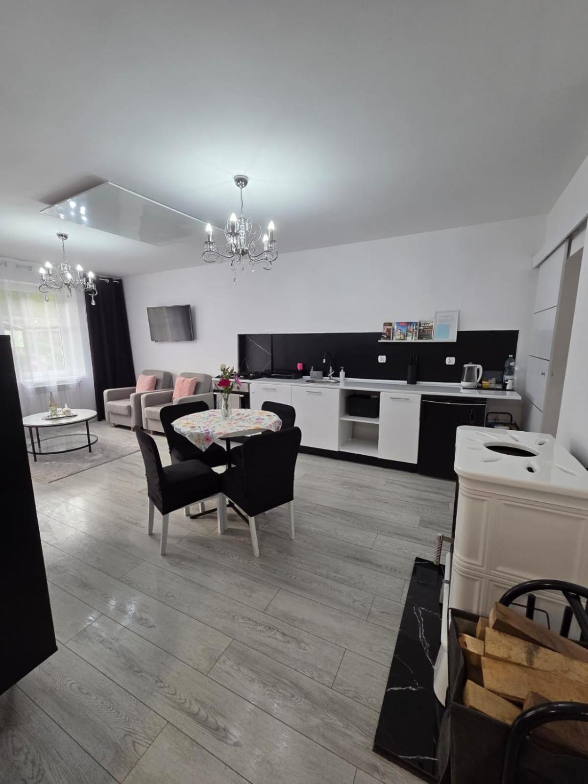 Apartment Z Kominkiem Retroglam Mieroszow